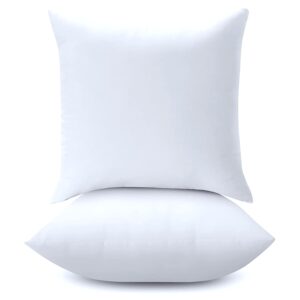 Pillow Bolster and Cushion